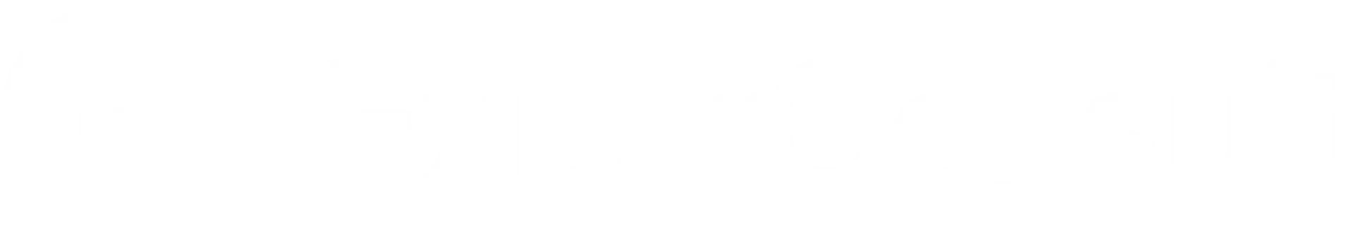 ExperConsult Logo weiß